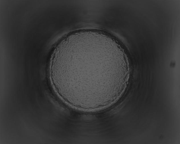 X0000091861407200710031031