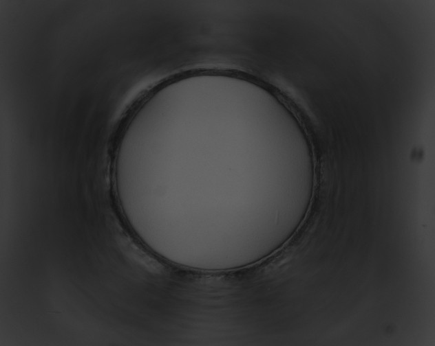 X0000091861408200710031031