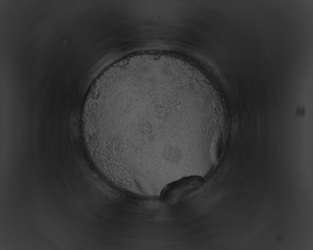 X0000091861409200710031031