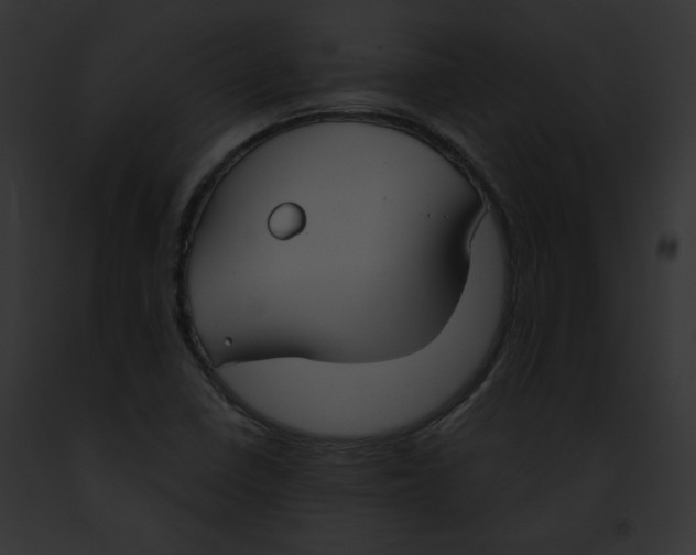 X0000091861410200710031031