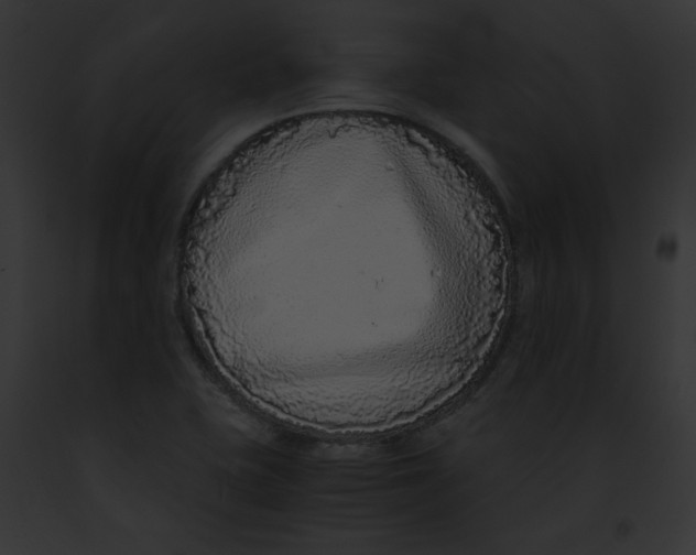 X0000091861415200710031031