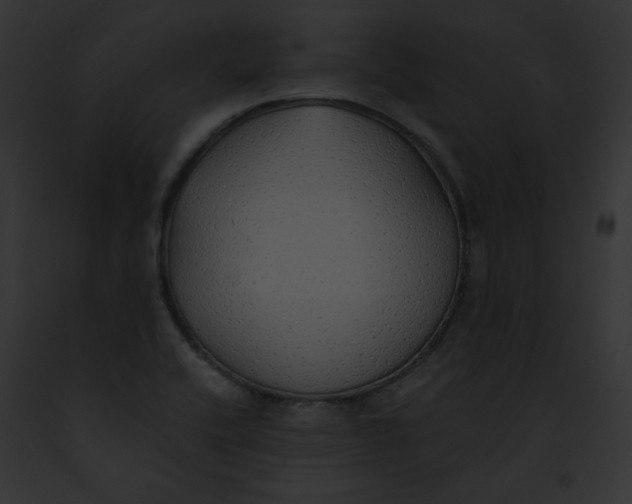 X0000091861416200710031031