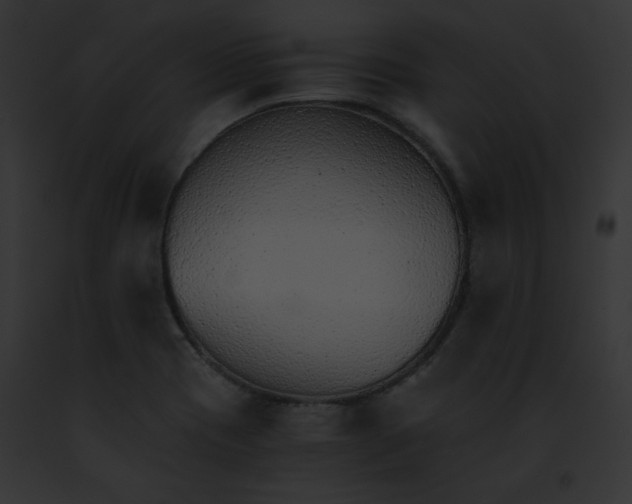 X0000091861417200710031031