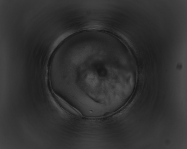 X0000091861418200710031031