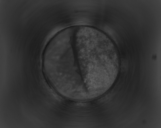 X0000091861419200710031031