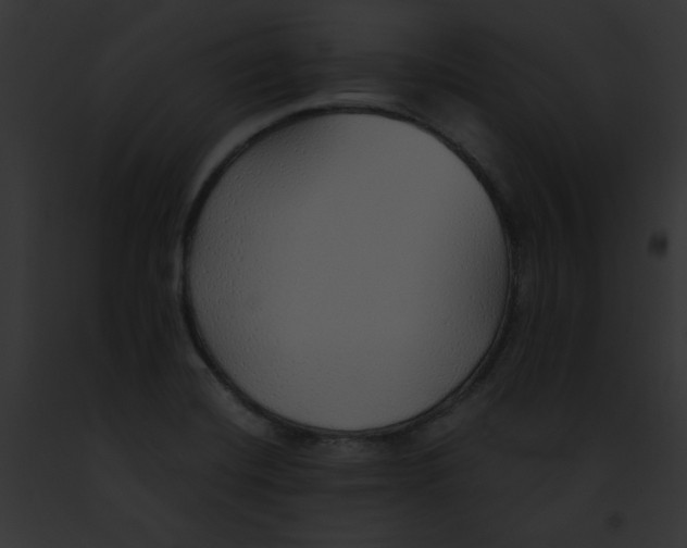 X0000091861420200710031031