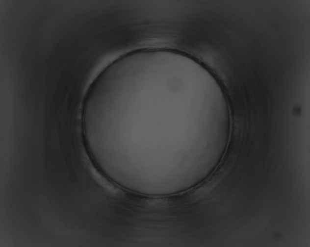 X0000091861421200710031031