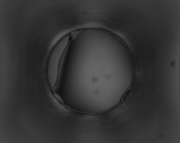 X0000091861422200710031031