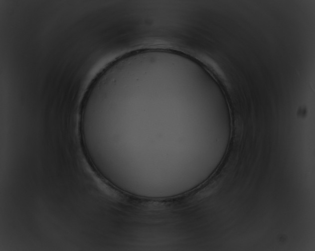 X0000091861424200710031031