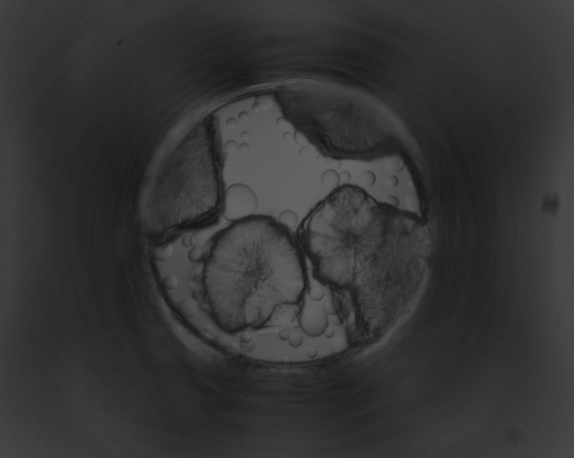 X0000091861425200710031031