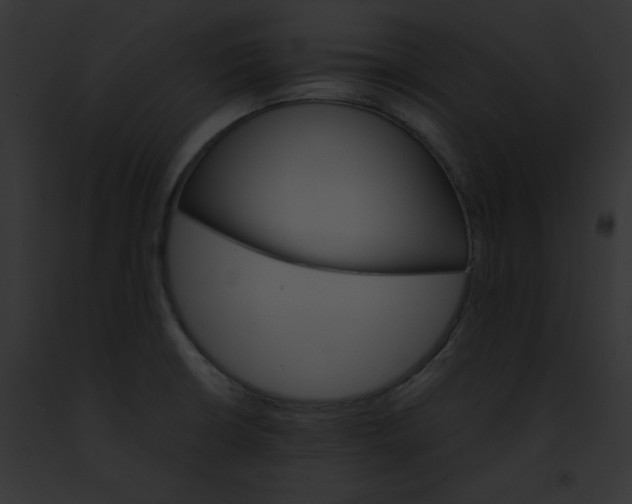 X0000091861426200710031031