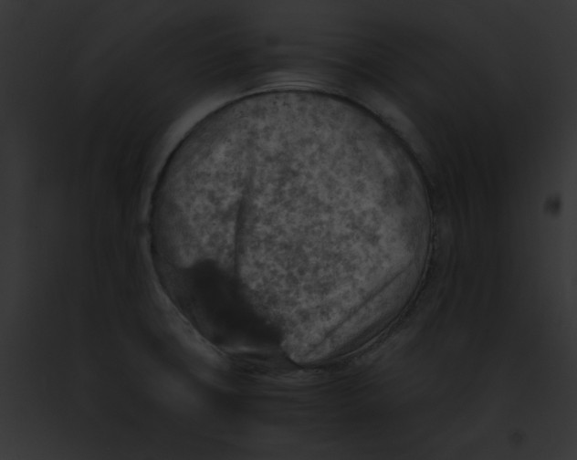 X0000091861427200710031031