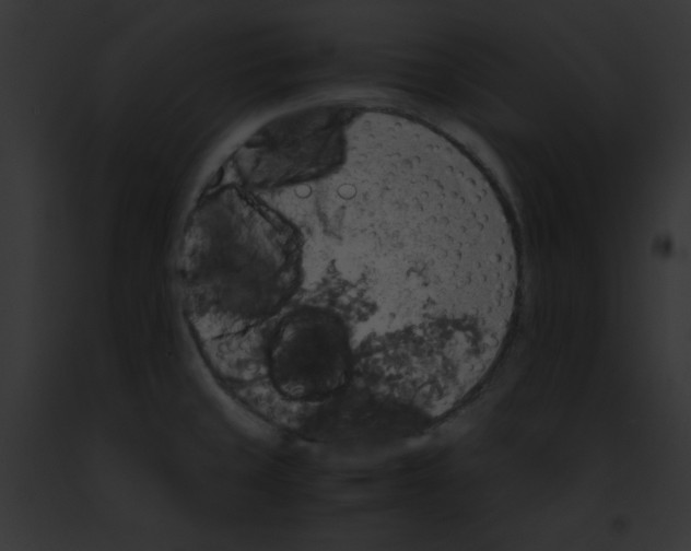 X0000091861429200710031031