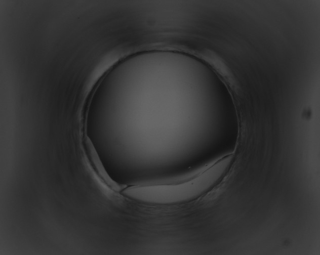 X0000091861430200710031031