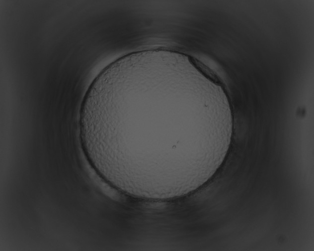 X0000091861431200710031031