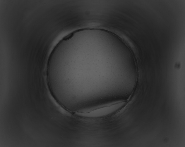 X0000091861432200710031031