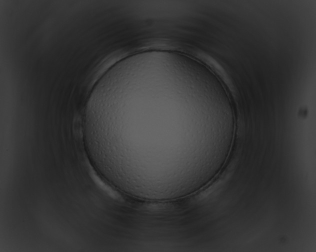 X0000091861433200710031031