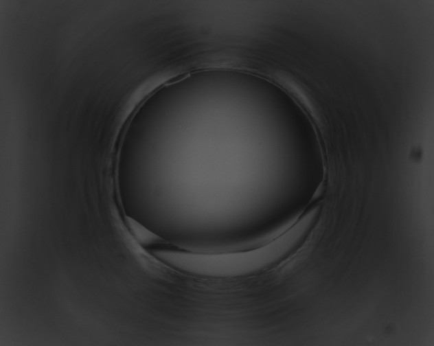 X0000091861434200710031031