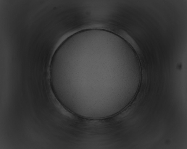 X0000091861436200710031031