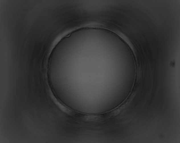 X0000091861437200710031031