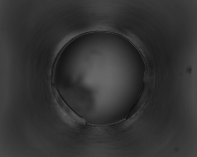 X0000091861438200710031031