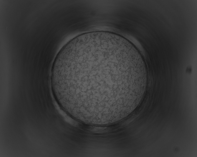 X0000091861439200710031031