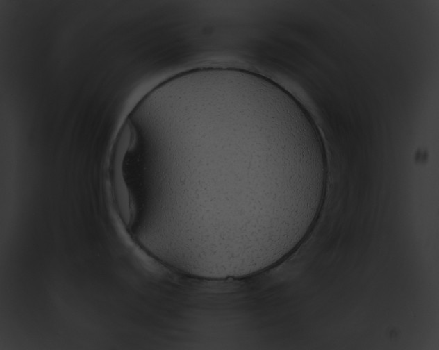 X0000091861440200710031031