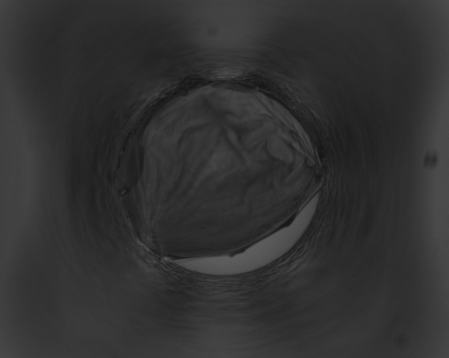 X0000091861441200710031030