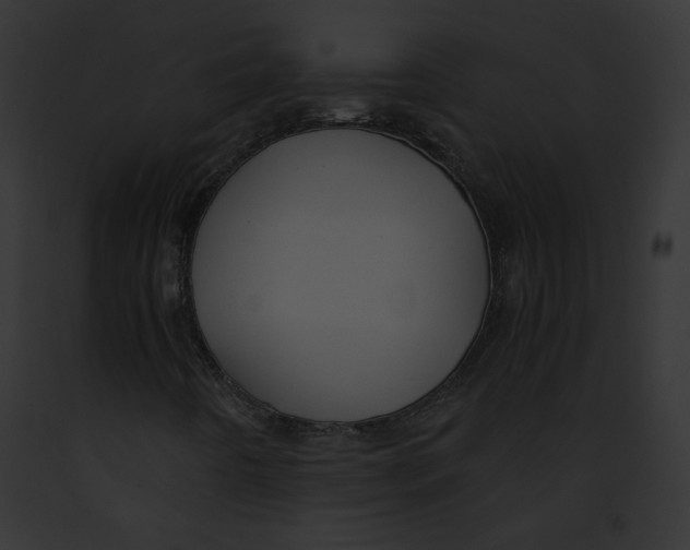 X0000091861442200710031030