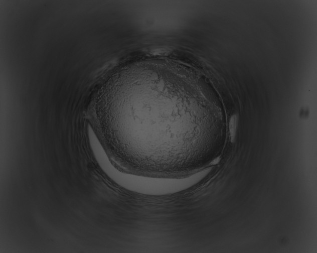 X0000091861443200710031030