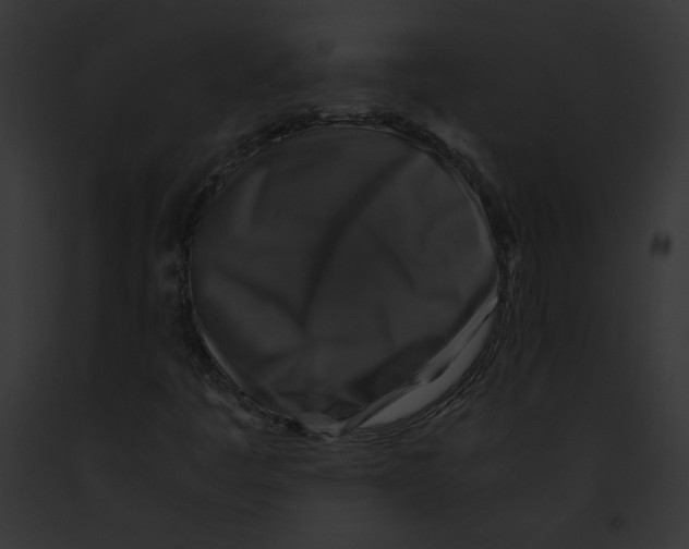 X0000091861445200710031030