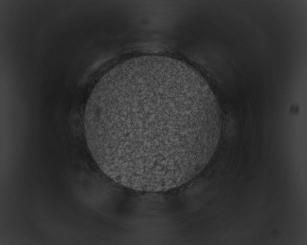 X0000091861446200710031030