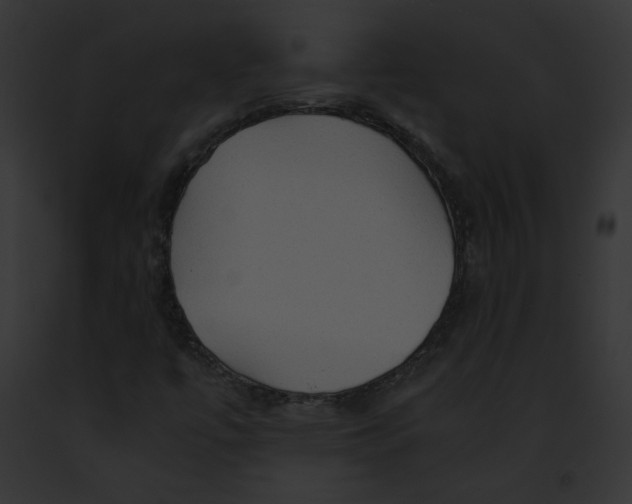 X0000091861447200710031030