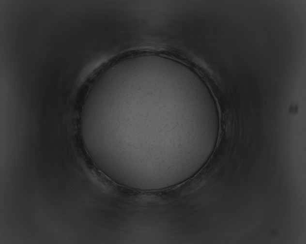 X0000091861448200710031030