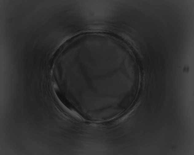 X0000091861449200710031030