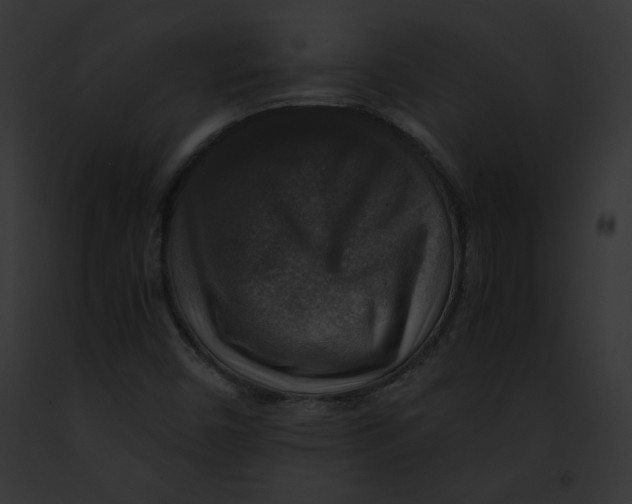 X0000091861450200710031030