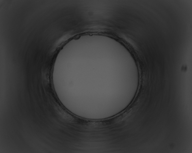 X0000091861451200710031030