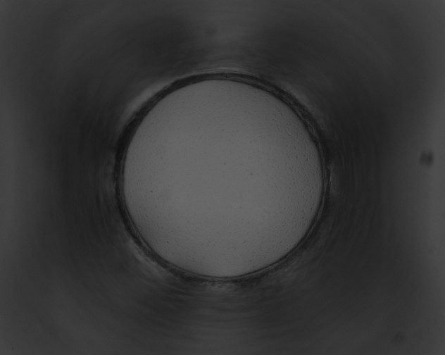 X0000091861452200710031030