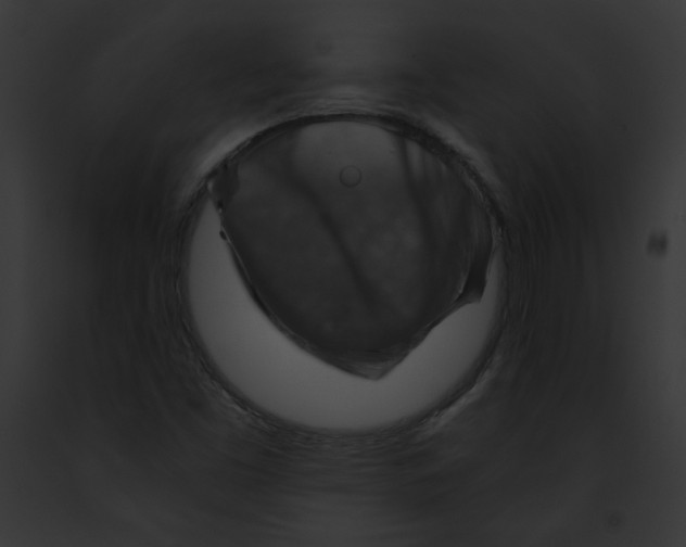 X0000091861453200710031030