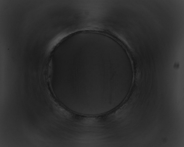 X0000091861455200710031030