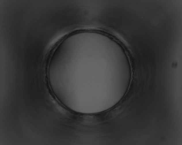 X0000091861456200710031030