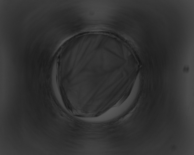 X0000091861457200710031030