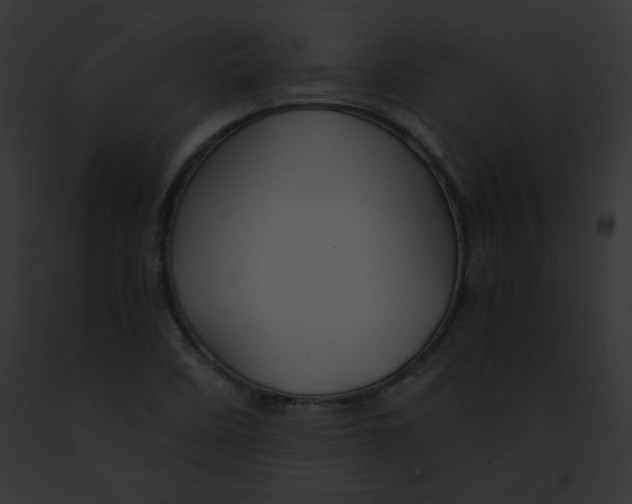 X0000091861458200710031030