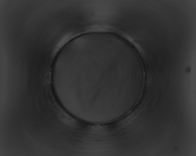 X0000091861459200710031030