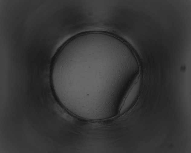 X0000091861460200710031030