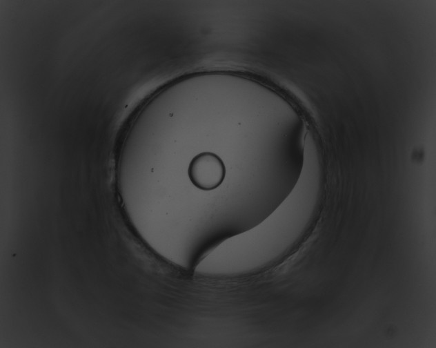 X0000091861461200710031030