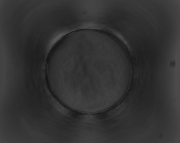 X0000091861463200710031030