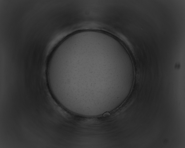 X0000091861464200710031030