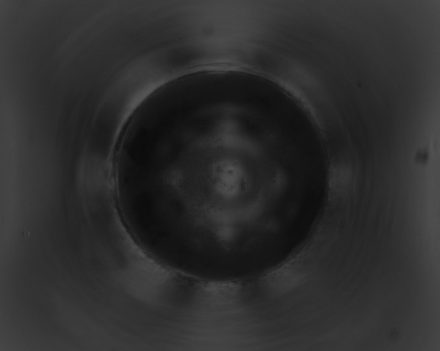 X0000091861466200710031030