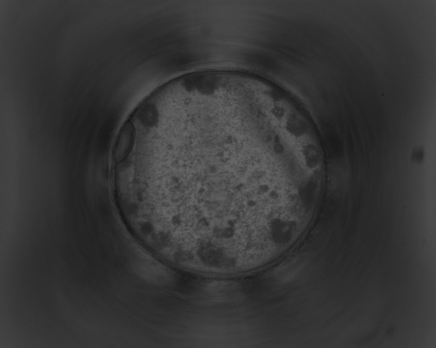 X0000091861467200710031030